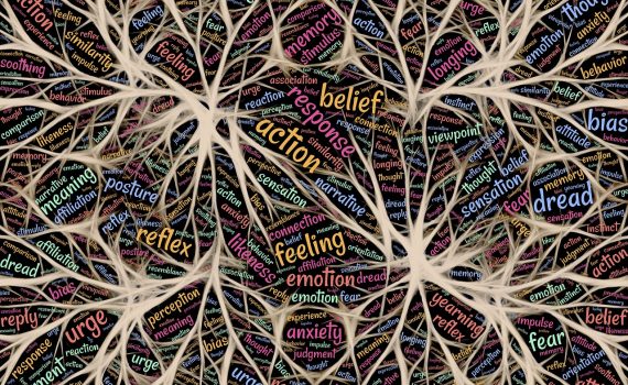 картинка здравый смысл в решении проблем