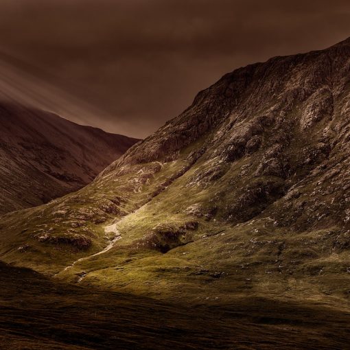 Картинка-символ-года-желтой-собаки