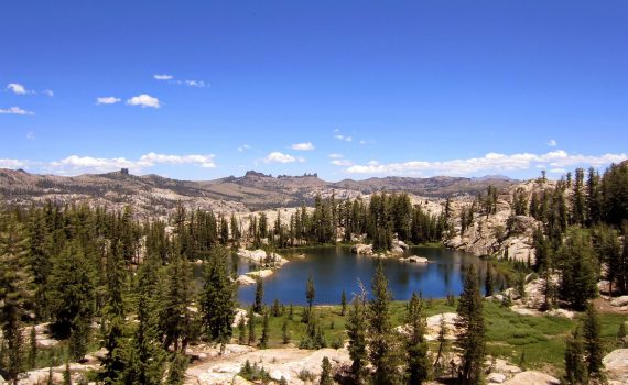 картинка-образ-месяца-янской-воды-на-собаке