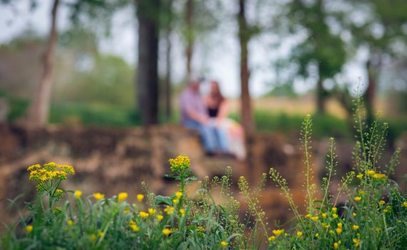 картинка-образ-блуждающих-звезд-года-2019