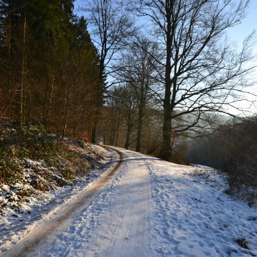 картинка-образ-солнце-над-лесом