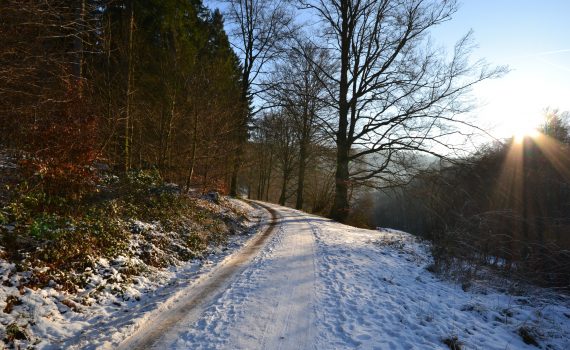 картинка-образ-солнце-над-лесом