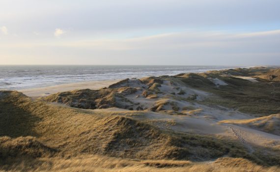 картинка-образ-земли-на-змее