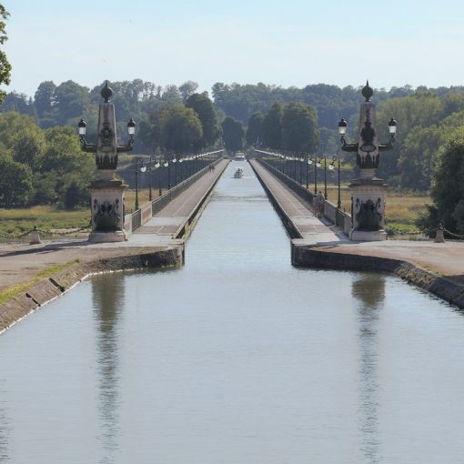 картинка-образ-месяца-янской-воды-на-обезьяне
